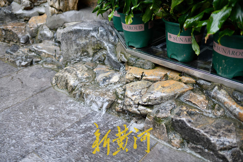 地下水位连涨,泉水漫出泉洞 ,现黑虎泉版“清泉石上流”