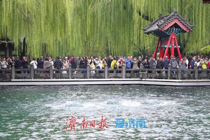 半个月涨了1米,济南趵突泉水位再创新高