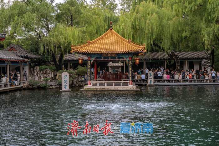 半个月涨了1米,济南趵突泉水位再创新高