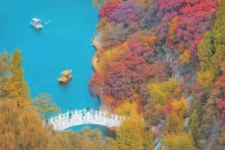 红叶提前登场!济南红叶谷秋色已浓