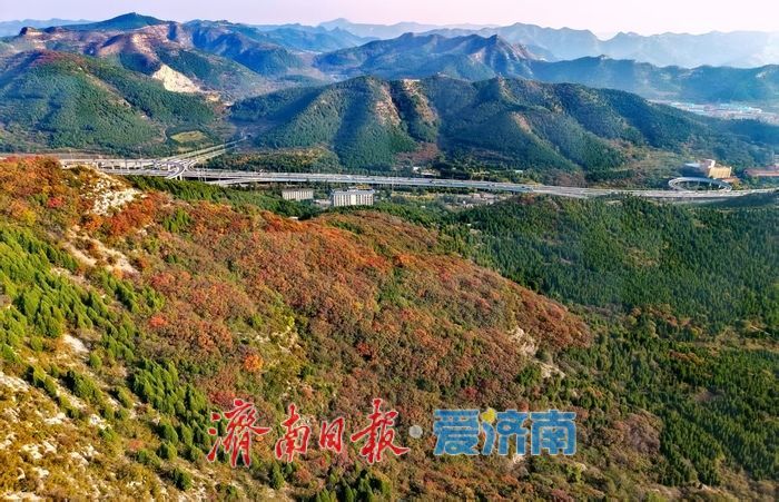 一年四季 泉在济南丨秋日限定！济南蚰蜒山红叶渐染