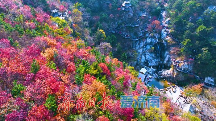 一年四季 泉在济南丨九如山秋日画卷徐徐展开，泉润红枫色彩斑斓
