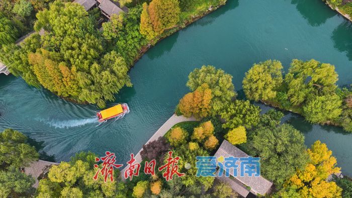一年四季 泉在济南｜泉城秋韵浓，大明湖变身秋日“调色盘”
