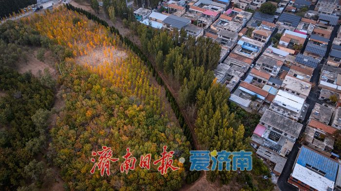 一年四季 泉在济南丨济南小清河源头湿地公园:秋色斑斓,湿地生态绘就自然之美