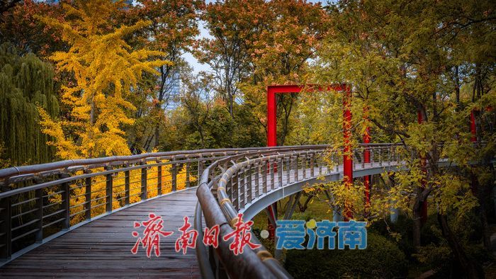 一年四季 泉在济南丨济南泉城公园:秋日胜景如画,市民尽享自然之美