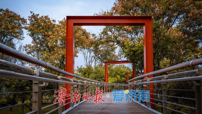 一年四季 泉在济南丨济南泉城公园:秋日胜景如画,市民尽享自然之美