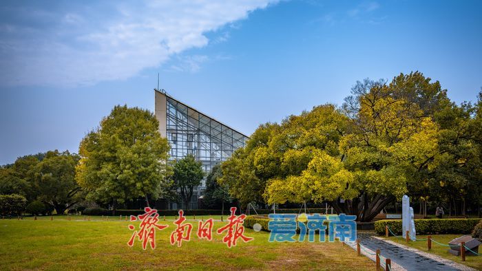 一年四季 泉在济南丨济南泉城公园:秋日胜景如画,市民尽享自然之美