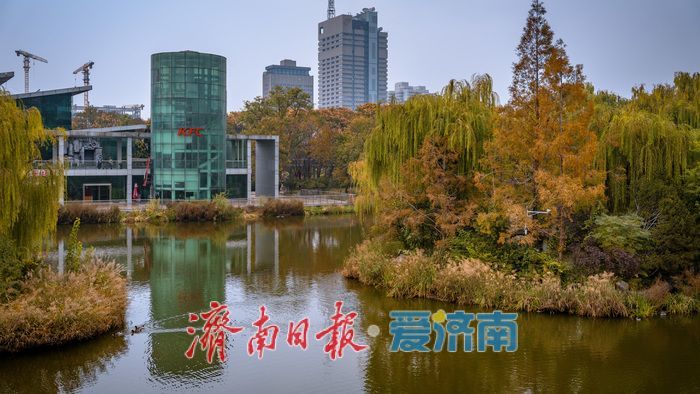 一年四季 泉在济南丨济南泉城公园:秋日胜景如画,市民尽享自然之美