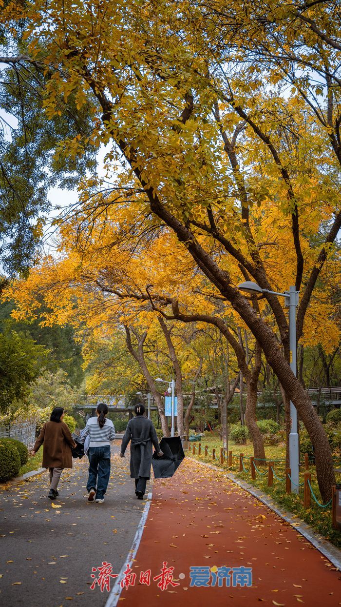 一年四季 泉在济南丨济南泉城公园:秋日胜景如画,市民尽享自然之美