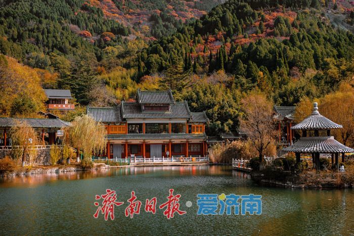 一年四季 泉在济南丨济南红叶谷:满山红遍燃秋意,层林尽染醉游人