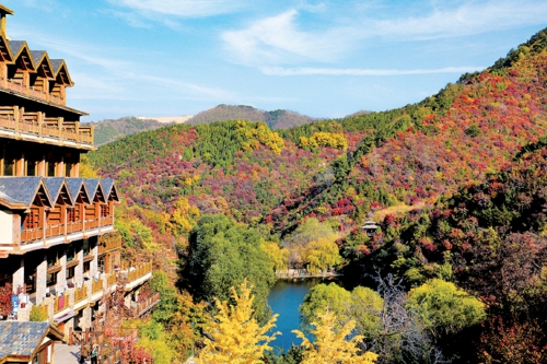 红黄交织美如画 济南赏秋正当时