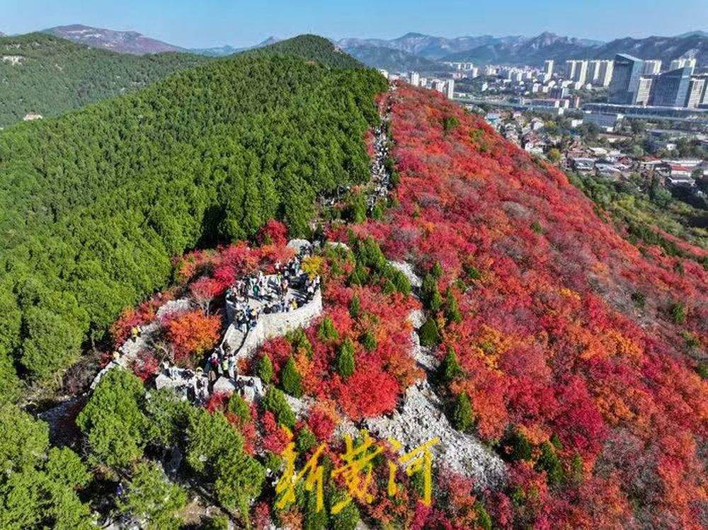 半山苍翠半山红！济南“鸳鸯火锅”惊艳上线