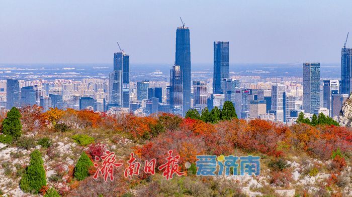 一年四季 泉在济南|秋色染红蚰蜒山,济南市民争赴“红叶之约”