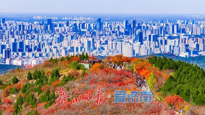 一年四季 泉在济南|秋色染红蚰蜒山,济南市民争赴“红叶之约”