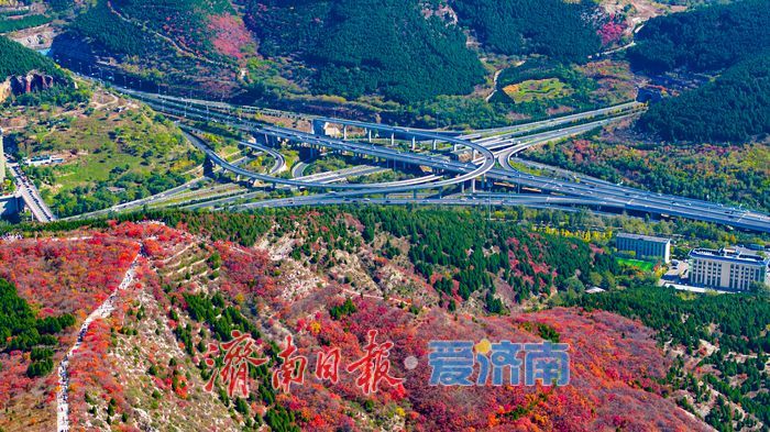 一年四季 泉在济南|秋色染红蚰蜒山,济南市民争赴“红叶之约”