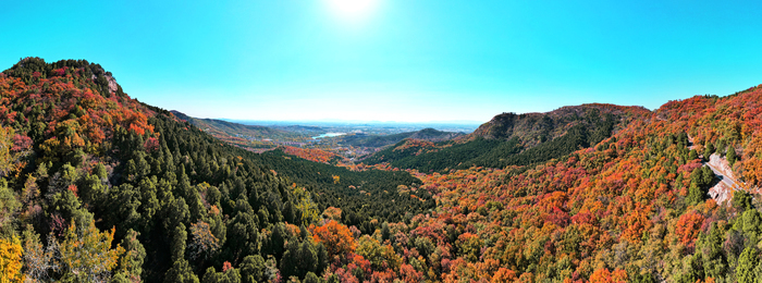 层林尽染换“彩妆”!大舟山打翻秋日“调色盘”