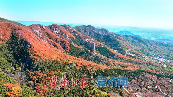 层林尽染换“彩妆”!大舟山打翻秋日“调色盘”