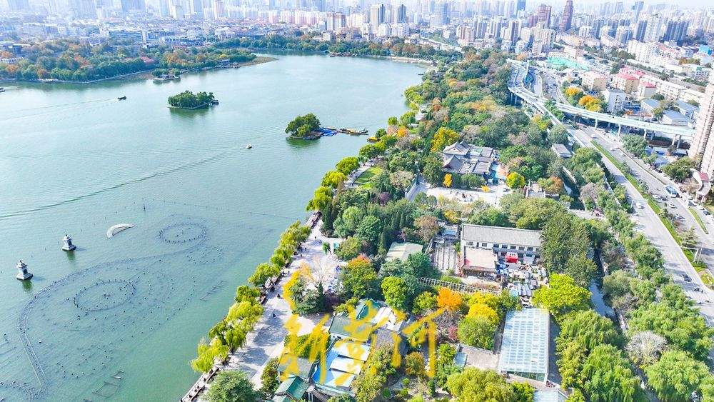 深秋济南大明湖彩叶交织 绘就泉城绝美胜景