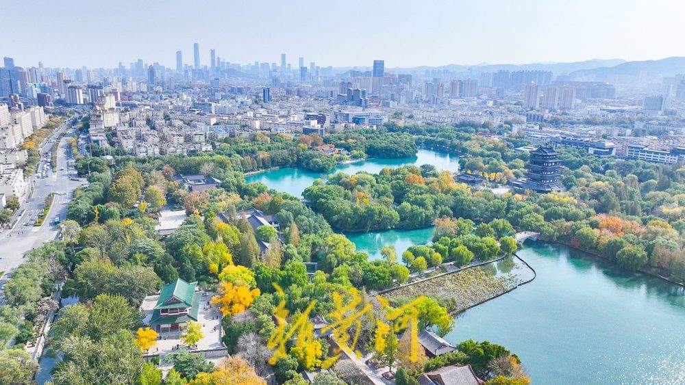 深秋济南大明湖彩叶交织 绘就泉城绝美胜景