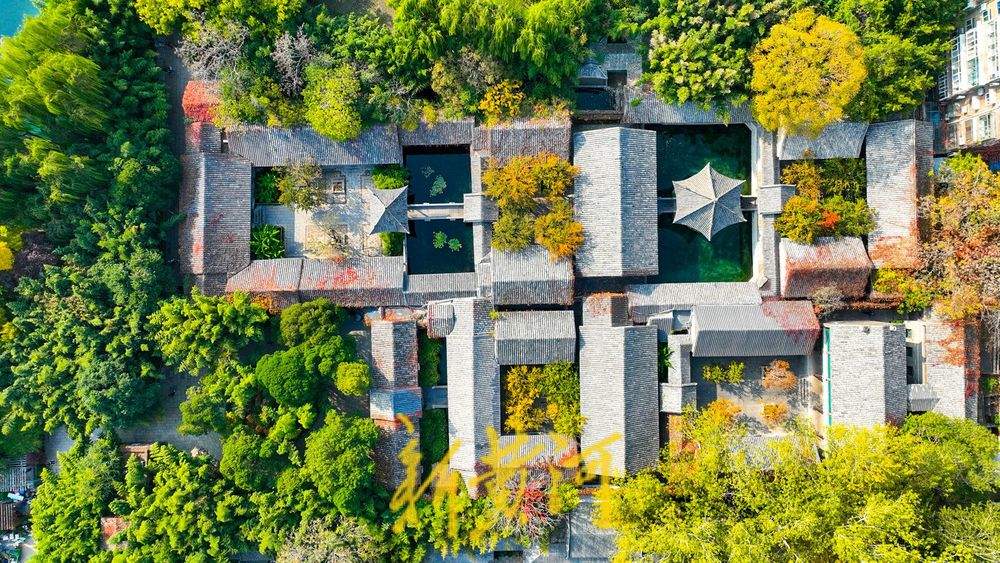 济南趵突泉公园开启变色模式，层林浸染触摸诗情画意