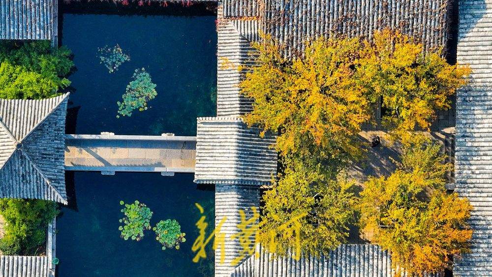 济南趵突泉公园开启变色模式，层林浸染触摸诗情画意