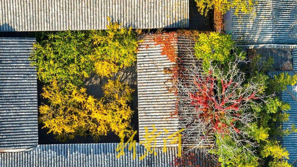 济南趵突泉公园开启变色模式，层林浸染触摸诗情画意