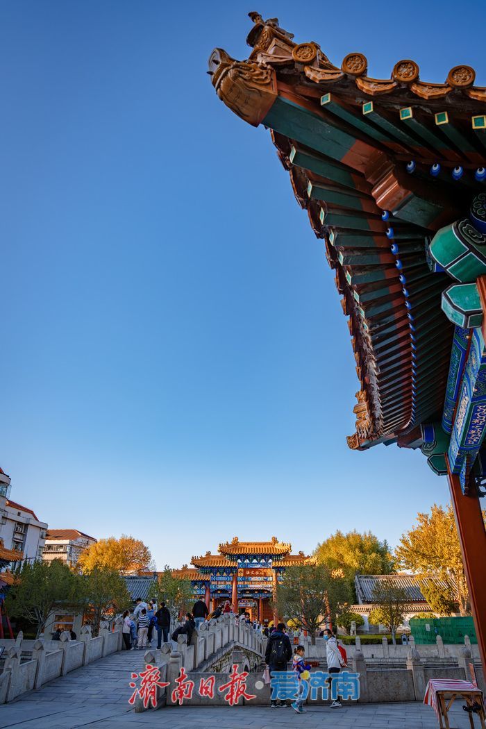 银杏金黄映红墙,济南府学文庙尽显秋韵