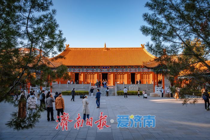 银杏金黄映红墙,济南府学文庙尽显秋韵