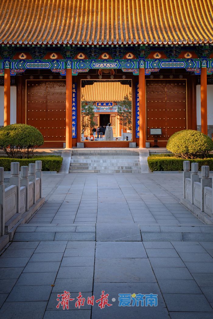 银杏金黄映红墙,济南府学文庙尽显秋韵