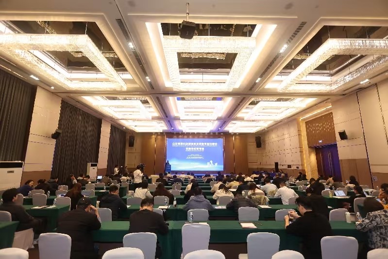 山东省协同发展项目及经验交流对接会(投融资政策专场)举办-新华网