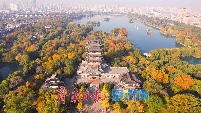 一年四季 泉在济南丨大明湖秋意浓 树木换彩妆绘美景