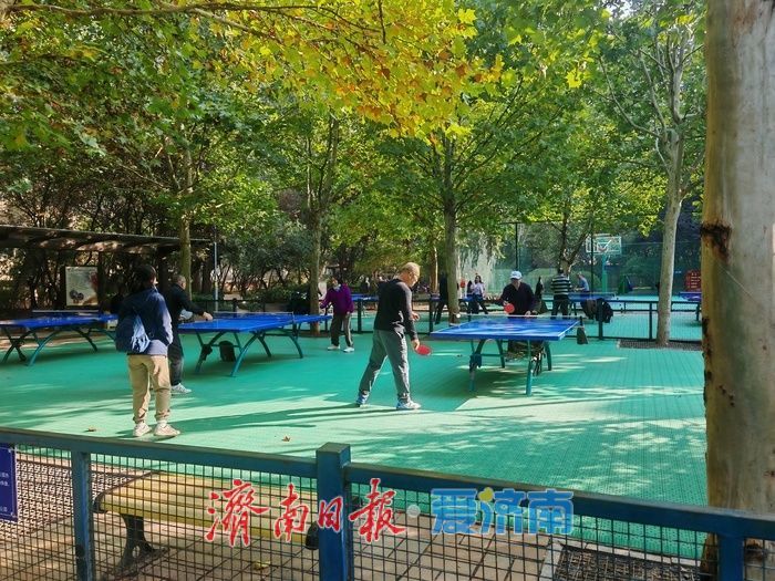 一年四季 泉在济南丨济南森林公园变身“秋日调色盘” 周末游人如织享惬意