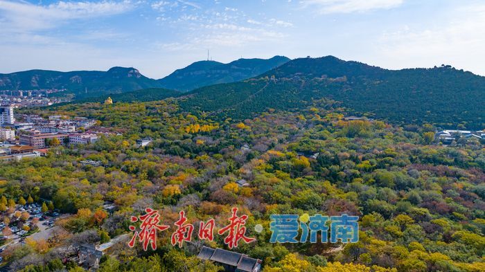 初冬晴空下 邂逅济南现代、古韵与山河的壮美同框