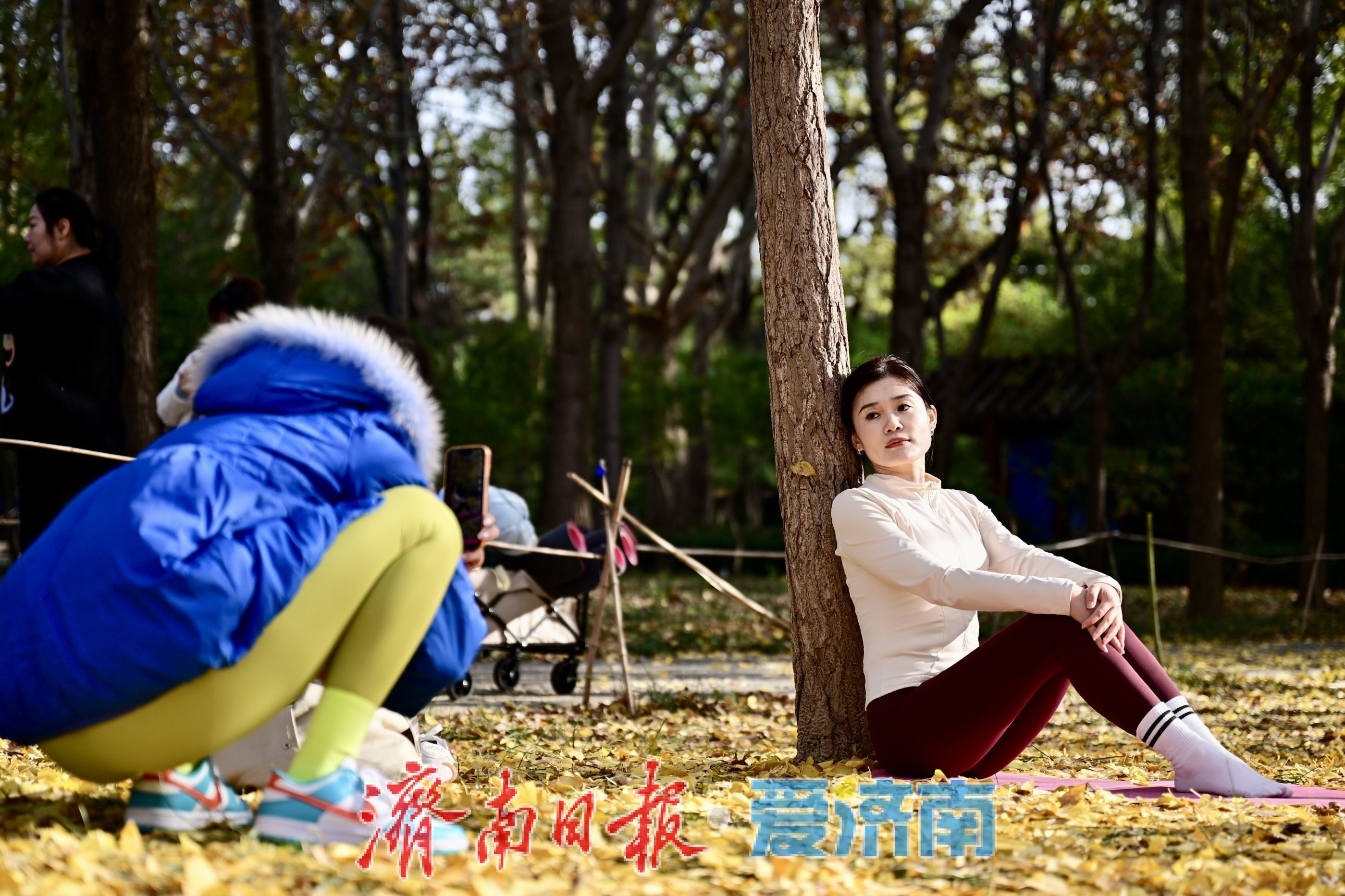 一年四季 泉在济南丨银杏洒金秋意浓 公园变身“天然影棚”