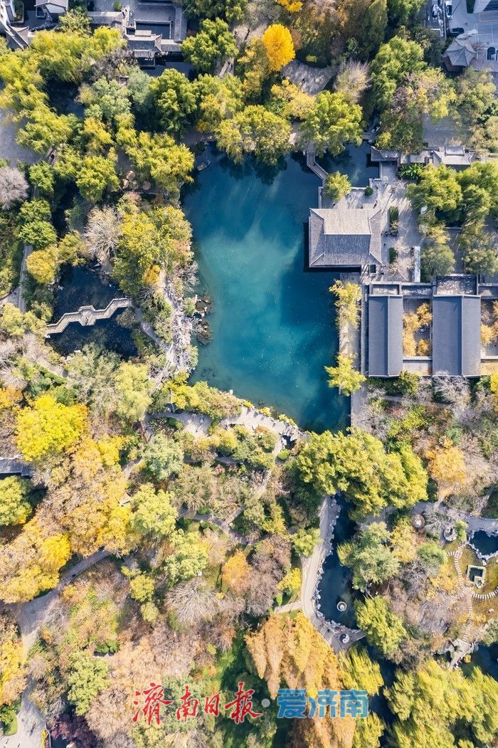 初冬时节,五龙潭公园色彩斑斓景致如画