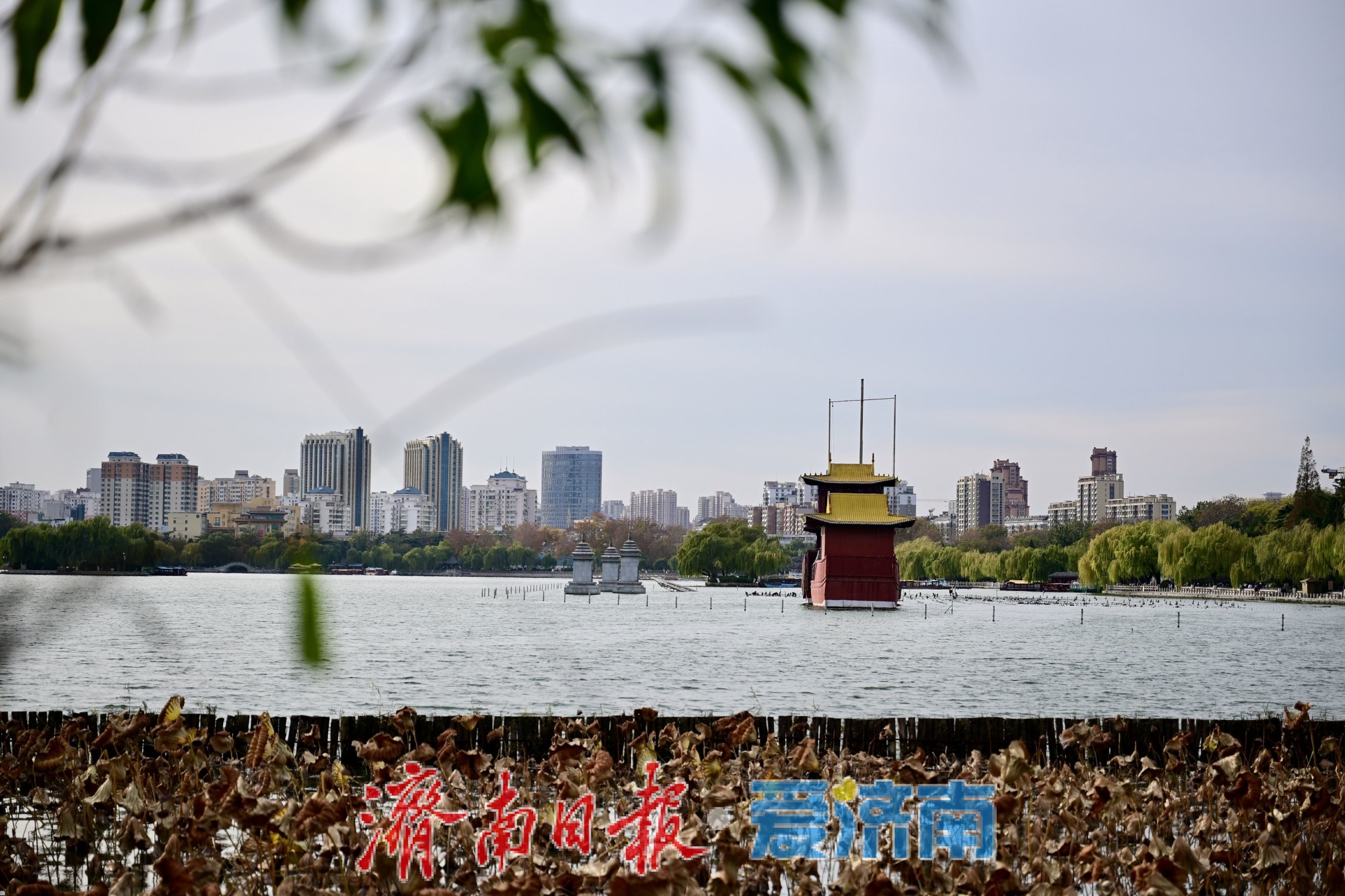 寒潮难挡游兴 大明湖初冬别具风情