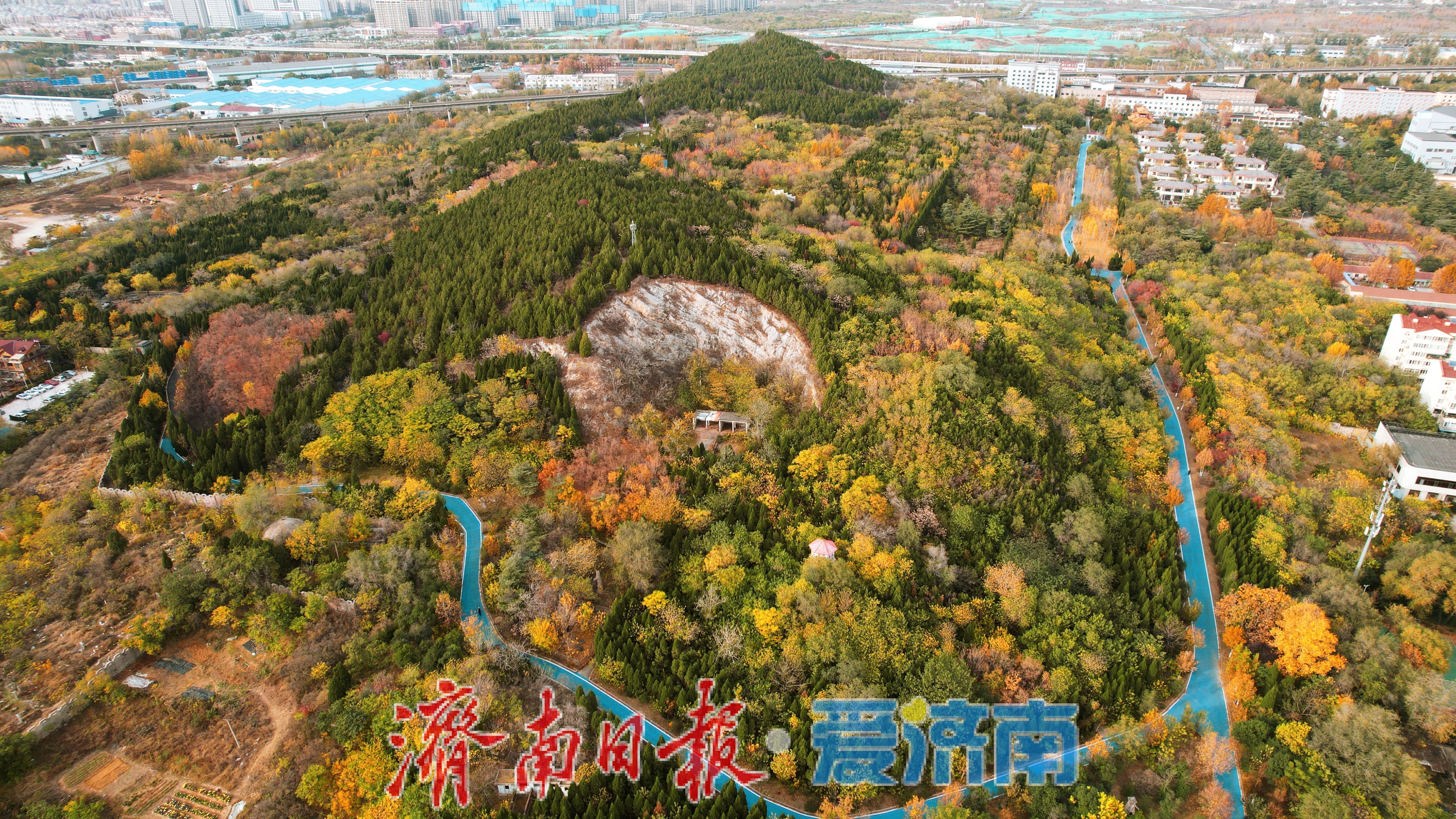 一年四季 泉在济南｜鲍山公园初冬限定美景 层林尽染如铺展天然画卷