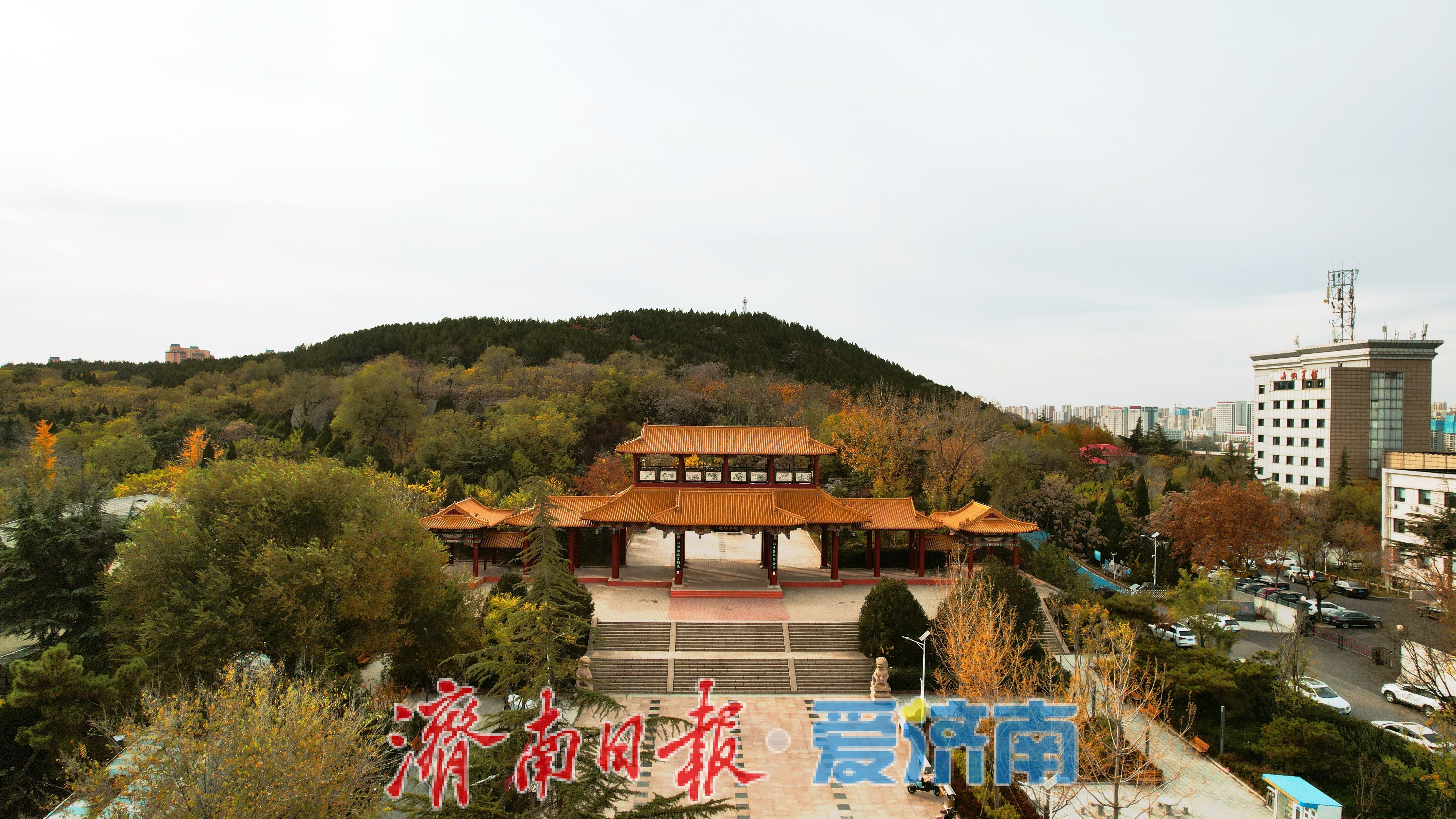 一年四季 泉在济南｜鲍山公园初冬限定美景 层林尽染如铺展天然画卷