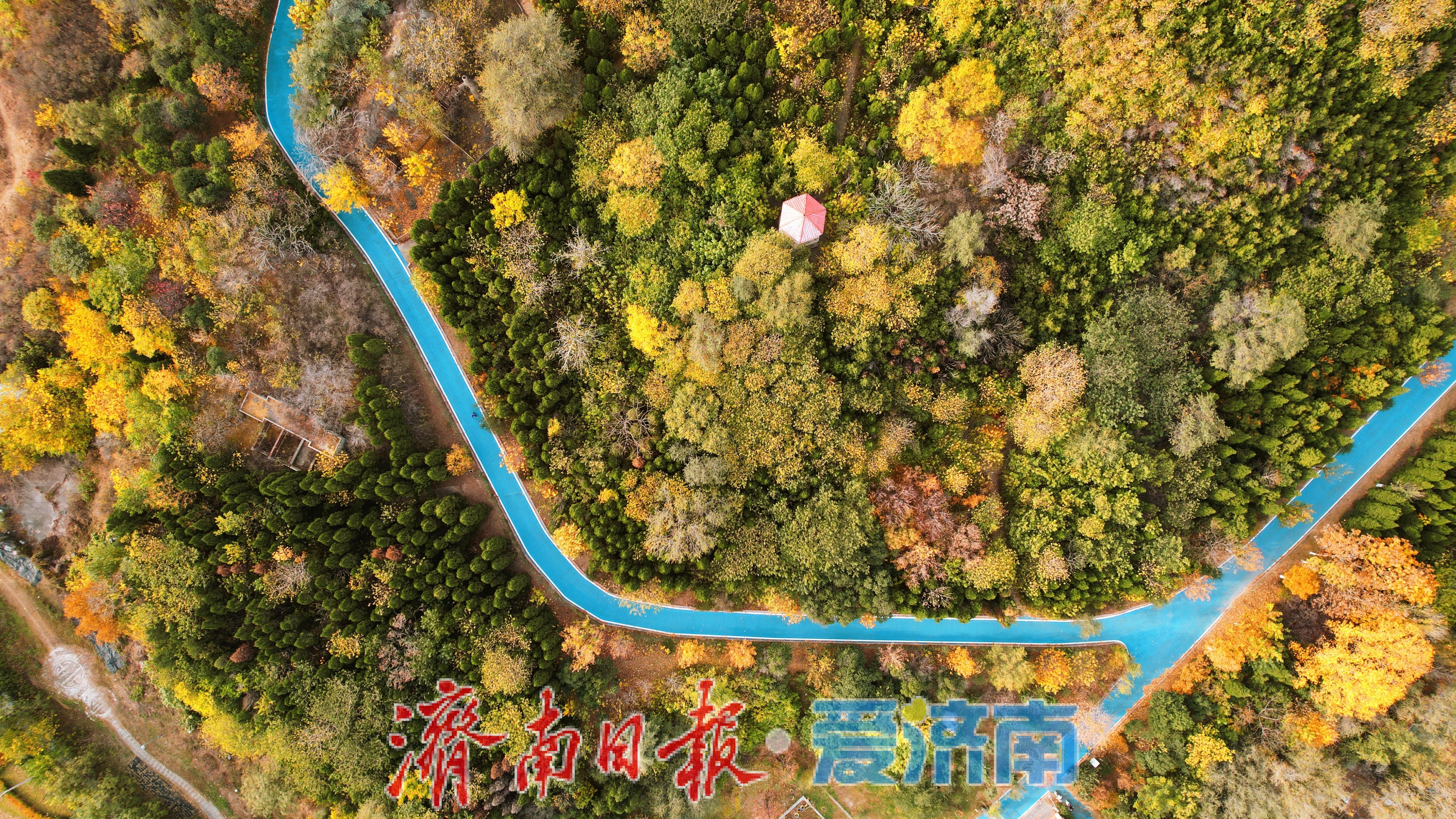 一年四季 泉在济南｜鲍山公园初冬限定美景 层林尽染如铺展天然画卷