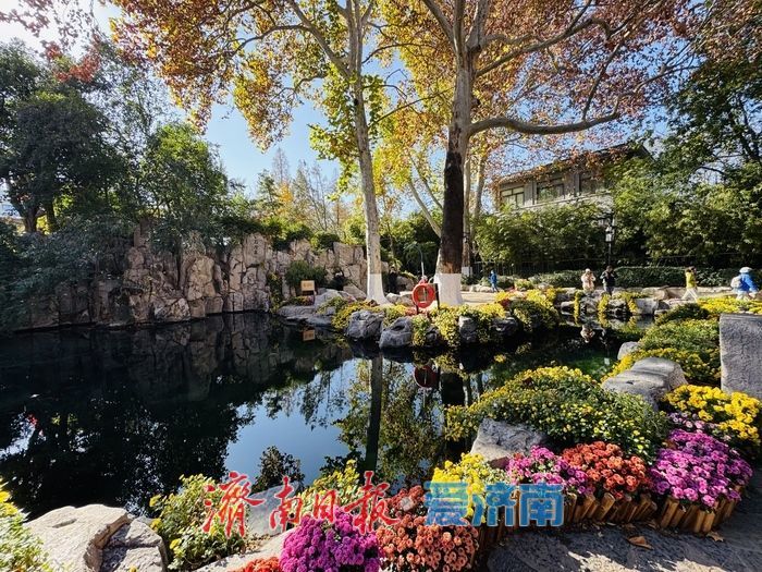 泉映蓝天柳拂岸 初冬趵突泉藏清趣