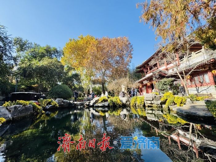 泉映蓝天柳拂岸 初冬趵突泉藏清趣