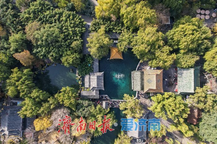 趵突泉披上“初冬调色盘”，三股水映衬冬日里的斑斓画卷