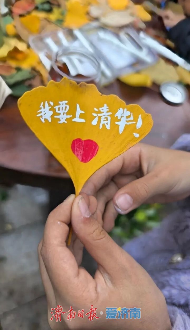 邂逅落叶的浪漫！公园景区解锁秋冬限定景色