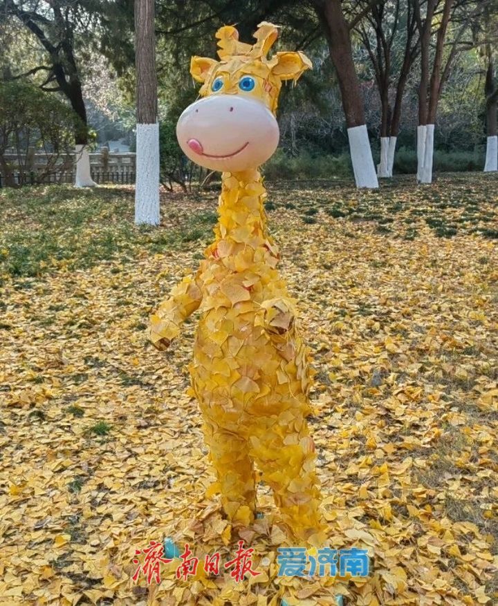 邂逅落叶的浪漫！公园景区解锁秋冬限定景色