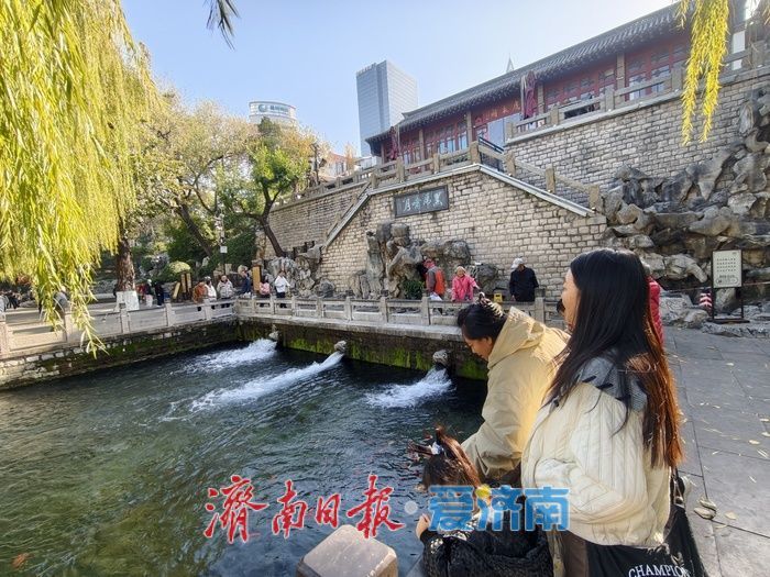济南把最美的初冬，打包进了护城河！