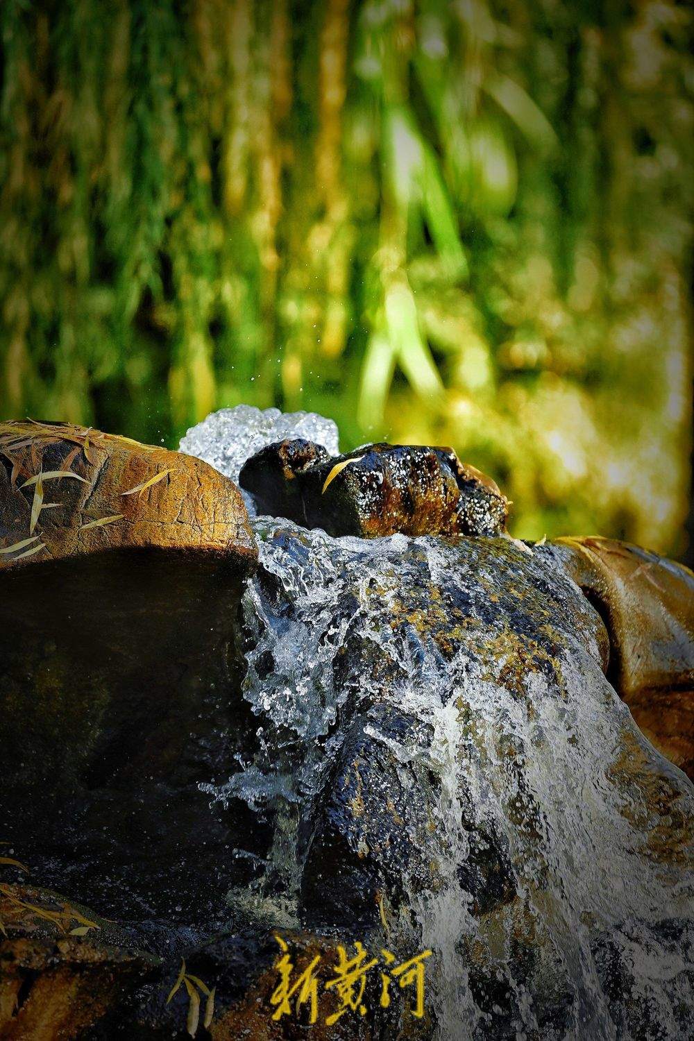 一年四季 泉在济南｜“月牙飞瀑”胜景持续在线突破100天