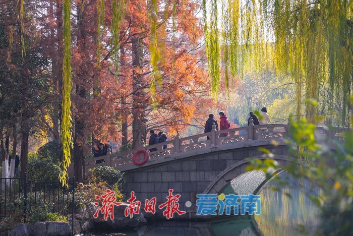 大明湖四象限机位 褚红杉林美到出圈