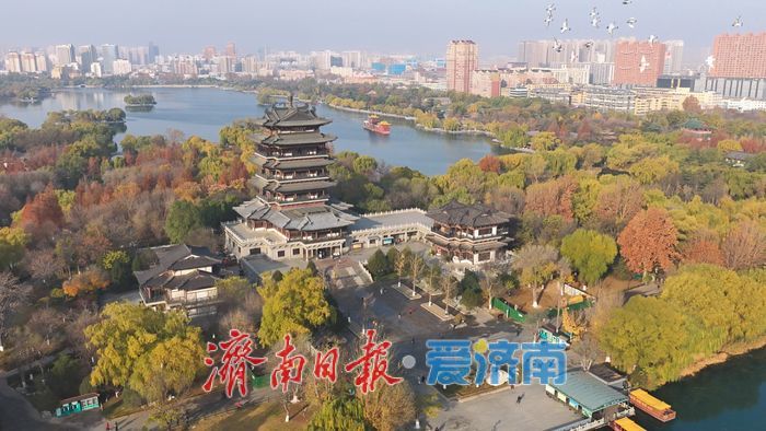 一年四季 泉在济南丨大明湖秋冬“混搭”美景正当时
