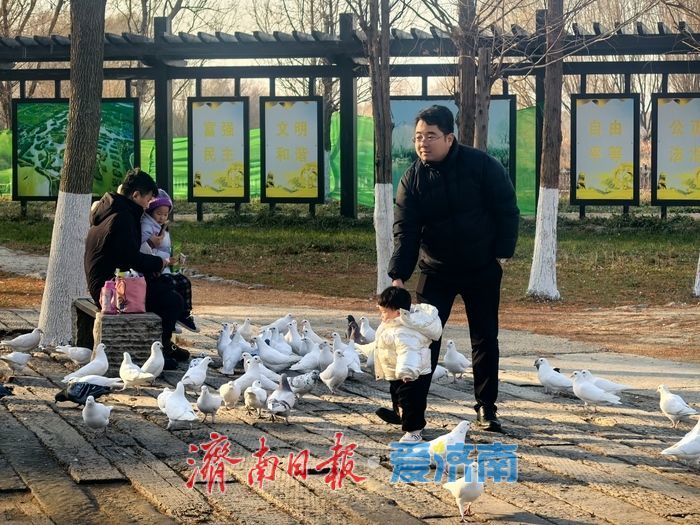 风过苇梢,湖映冬阳 济西湿地的冬日限定美好