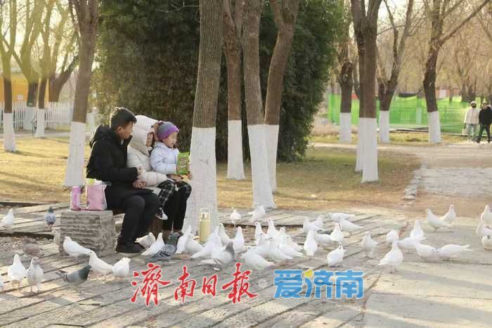 风过苇梢,湖映冬阳 济西湿地的冬日限定美好